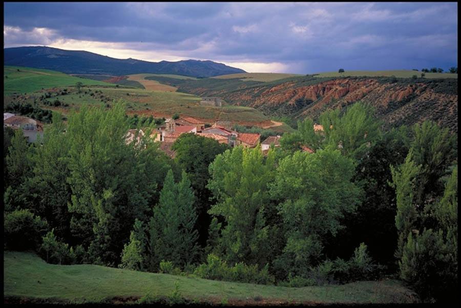 El Rincon De Monasterio旅馆 客房 照片